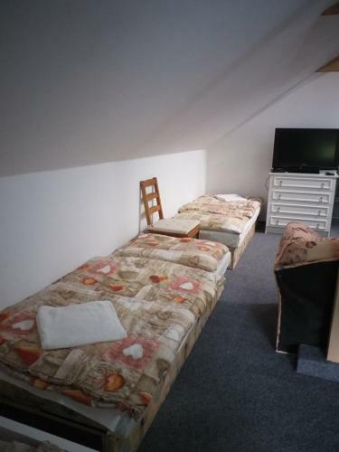 Hostal Vila Terezie