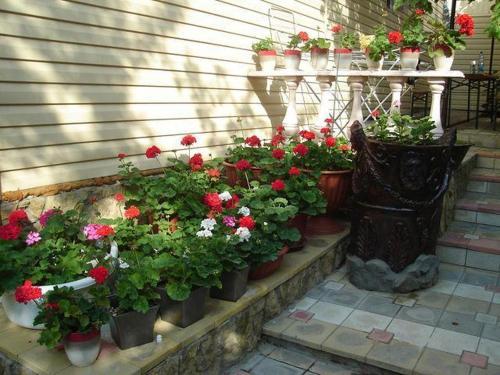 Hostal Guest House Artik Dzhulietta
