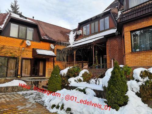 Hostal Guest House Edelveys