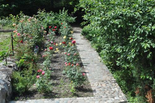 Hostal Guest House Edelveys