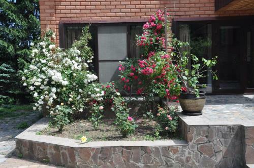 Hostal Guest House Edelveys