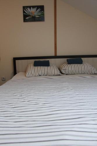 Albergue ?????? ?? ??????? ???????