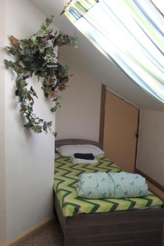 Albergue ?????? ?? ??????? ???????