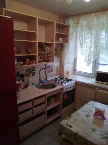 Apartment On Tatarstan 52