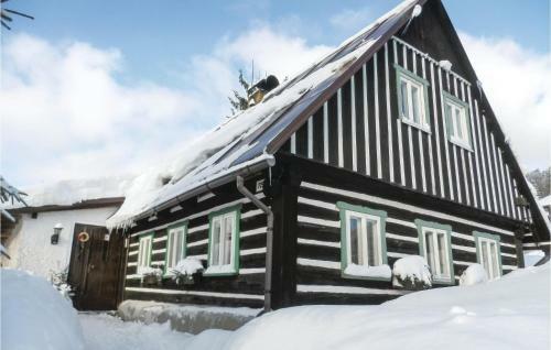 Holiday Home Bedrichov