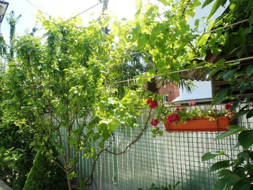 Posada Guest House U Valentiny