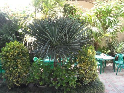 Hostal Mishel Guest House