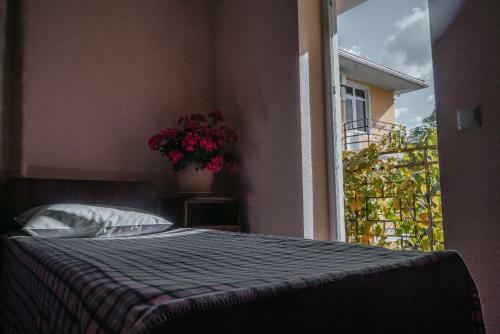 Hostal Violetta Guest House