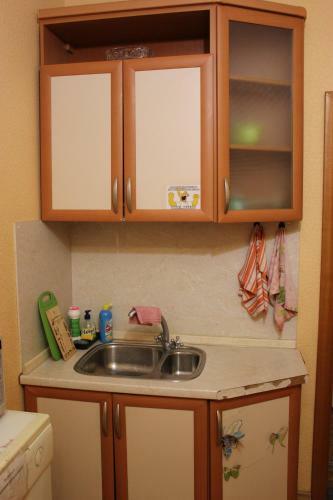 Posada Apartment On Zvereva