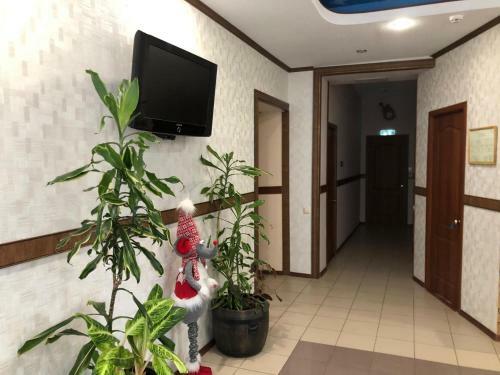 Hostal Comfort Guest House