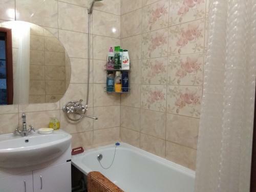 Apartment Nizhegorodskaya