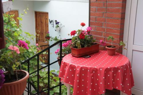 Hostal Guest House On Pionerskiy Prospekt