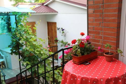 Hostal Guest House On Pionerskiy Prospekt