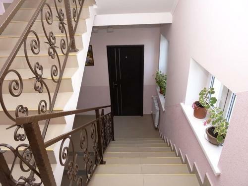 Hostal Viva Guest House