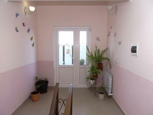 Hostal Viva Guest House