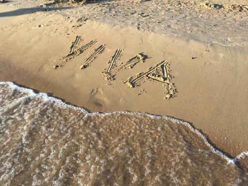 Hostal Viva Guest House