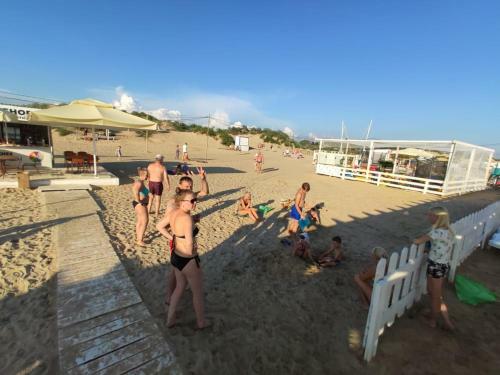 Hostal Viva Guest House