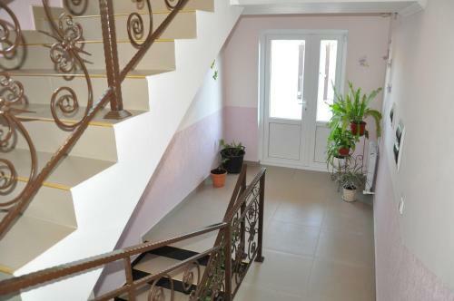 Hostal Viva Guest House