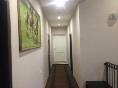 Motel Noy