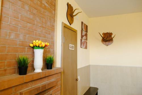 Hotel Fisch Herberg - Seld Tsarskiy Posol