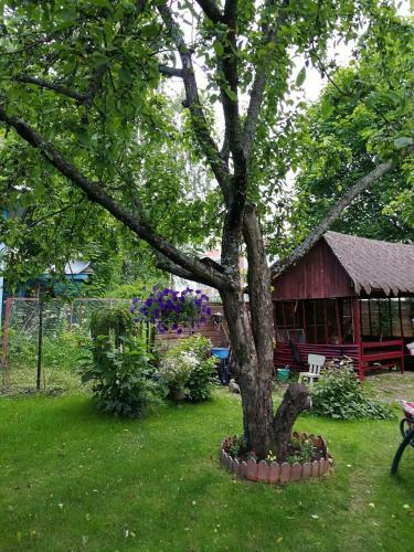 Apartamento Tatiana`s Guest House
