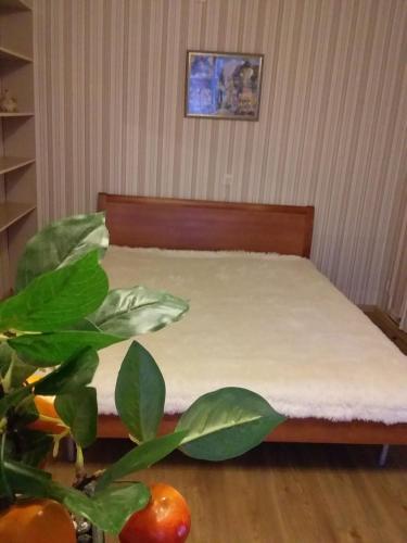 Apartamento ?????? ???????? ? ????? ?????? ?????????????