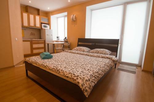 Apartment On Pushkinskaya By Kh