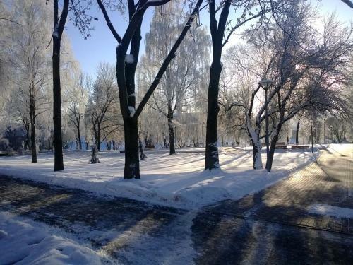 Apartment Pleskov