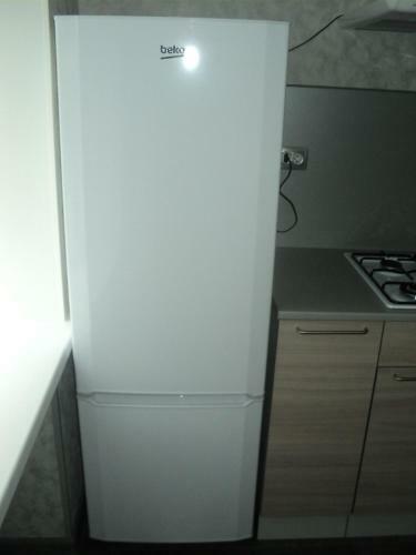 Apartment Pleskov