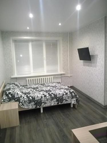 Apartment Pleskov