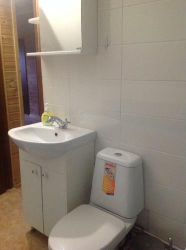 Homestay Elena In Sergiyevskoye