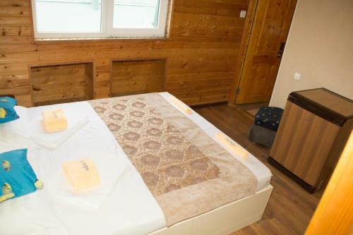 Hostal Saluton