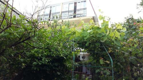 Hostal Raiskiy Ugolok