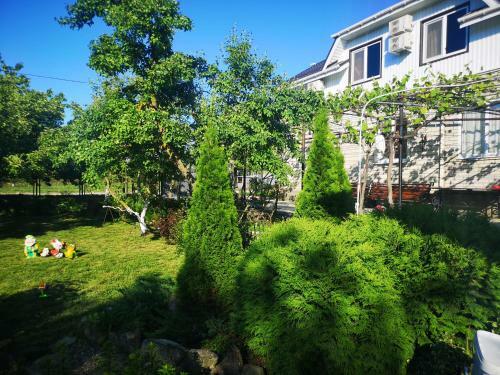 Hostal Tsvietushchii Sad