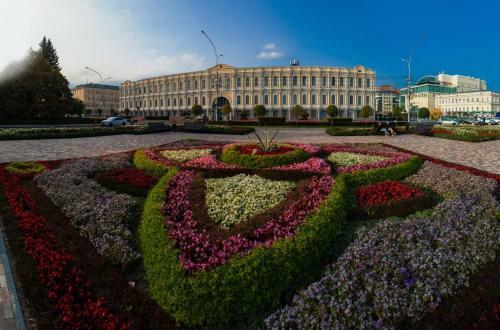 Hostel Romanov