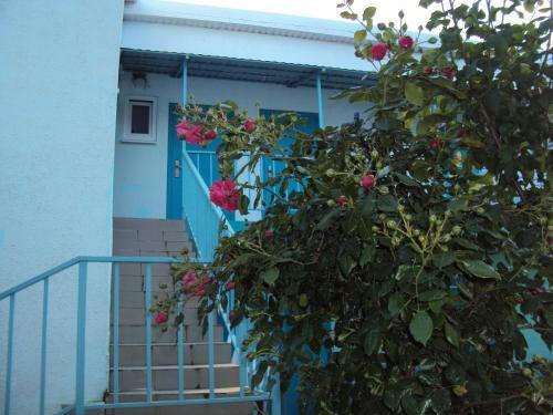 Hostal Guest House V Dolinie Roz