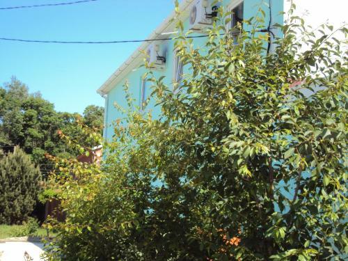 Hostal Guest House V Dolinie Roz