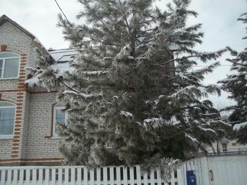 Apartamento Gostevoy Dom U Andreya