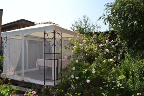 Hotel Guest House Podvorye Yamshchika
