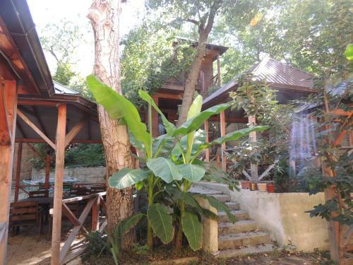 Hotel Leto