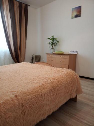 Apartamento ??????????? ?? ???????????? 60 ? 1