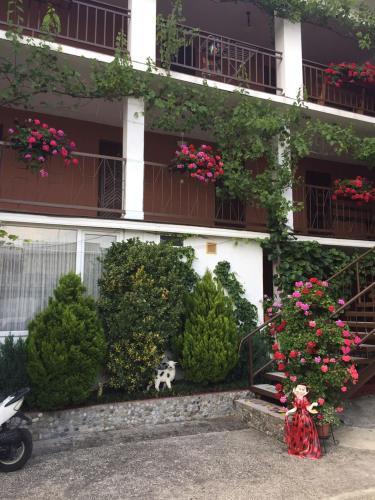 Hostal Guest House Grant