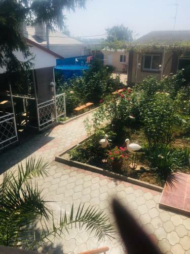 Hostal Guest House Zdorovie