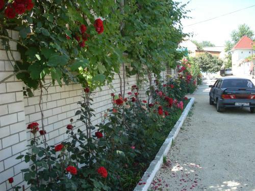 Hostal Yugra