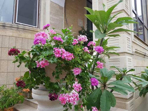 Hostal Guest House Sakhalin