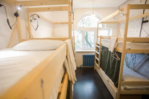 Tiger Hostel