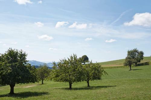 Seminar Hotel M�schberg