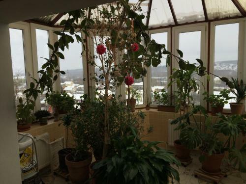 Agroturismo Country House With Banya