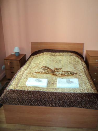 Hostel Room