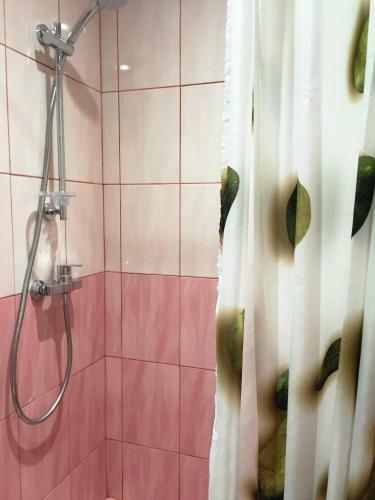 Suponevo Studio Apartment Zvenigorod
